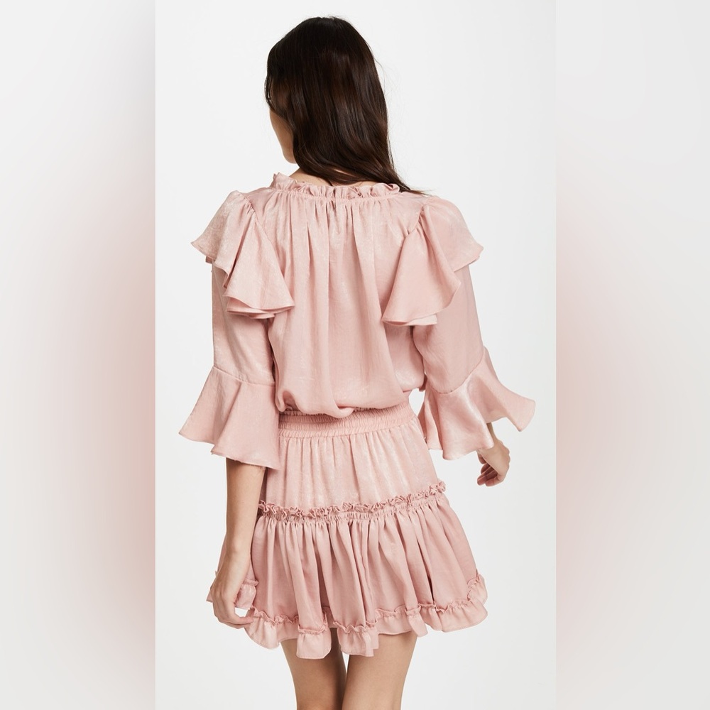 Pink Ruffled Dress - Picture 2 of 4